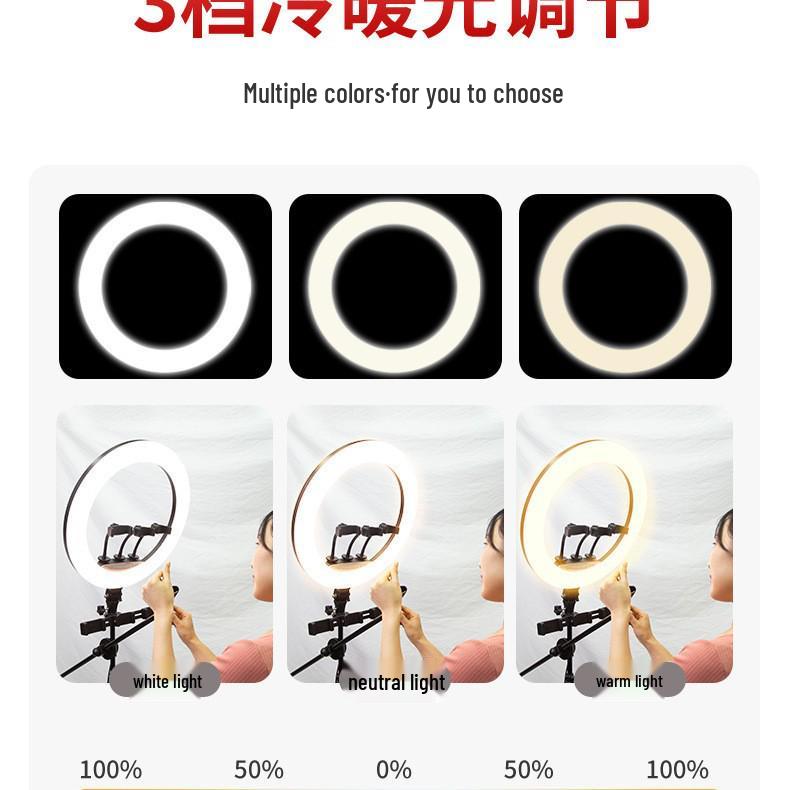 8-Inch Desktop Ring Light with 10-Inch Mobile Phone Holder for Live Streaming and Beauty Photography