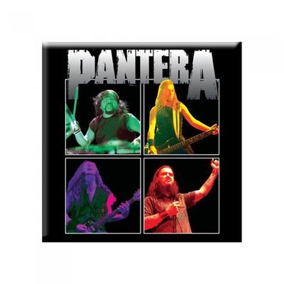 Pantera Band Fridge Magnet