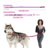 TSPRO Dog Leash Adjustable Dog Walking and Running Lead with Control Safety Pad Handle and Heavy Suitable for Large Dogs Blue Hands-Free Clasp, (BLUE