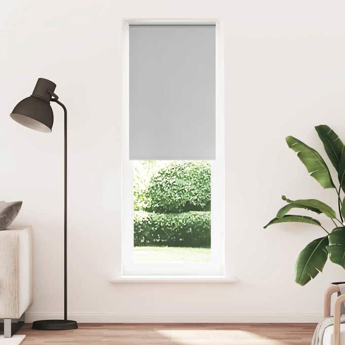 VidaXL Blackout Roller Blind Fabric Width 65.7 Cm Polyester, Day and Night Blind, Kitchen Blind, Blind 4011434