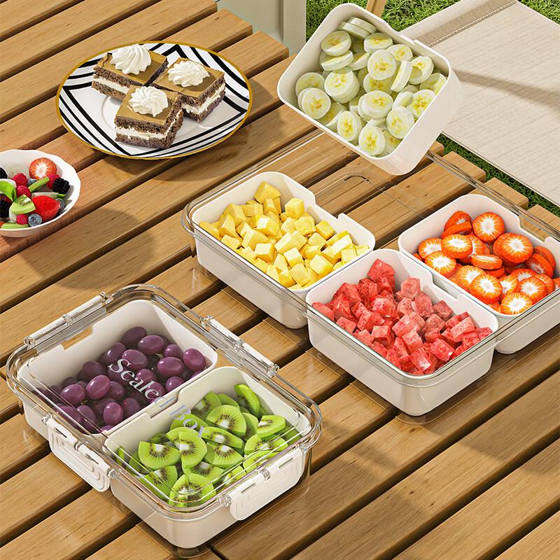 Camping & Picnic Food Storage Container