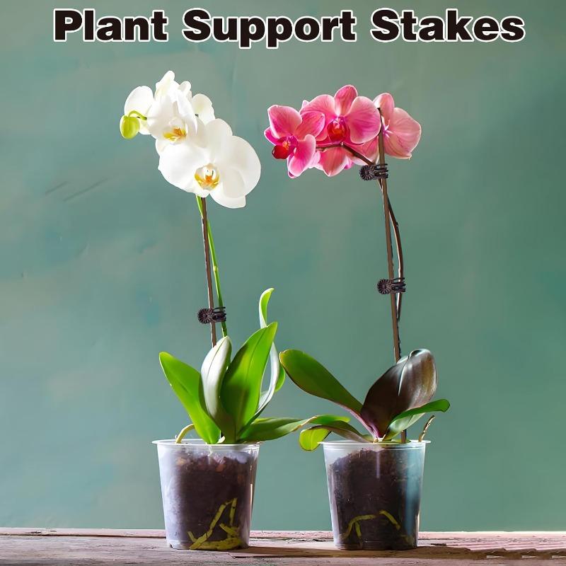 Set of 10 Plant Tutors with 15 Pliers, Flexible Sticks 45.7 cm High, Brown Orchid Pliers for Indoor and Outdoor Flower Growth, Roses, Amaryllis