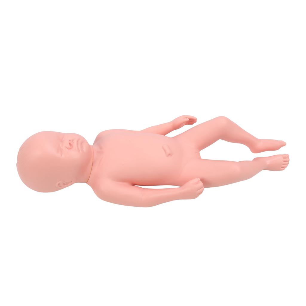 Newborn Model Plastic Educational High Simulation Full Term Baby Simulator Model For Teaching