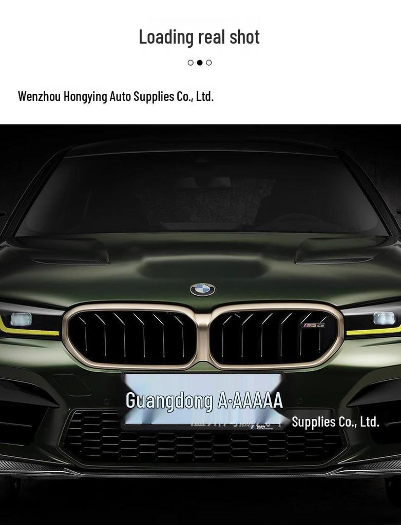 Kohlefaser-Nummernschildhalter für BMW X1, X2, X3, X4, X5, 1er, 3er, 5er