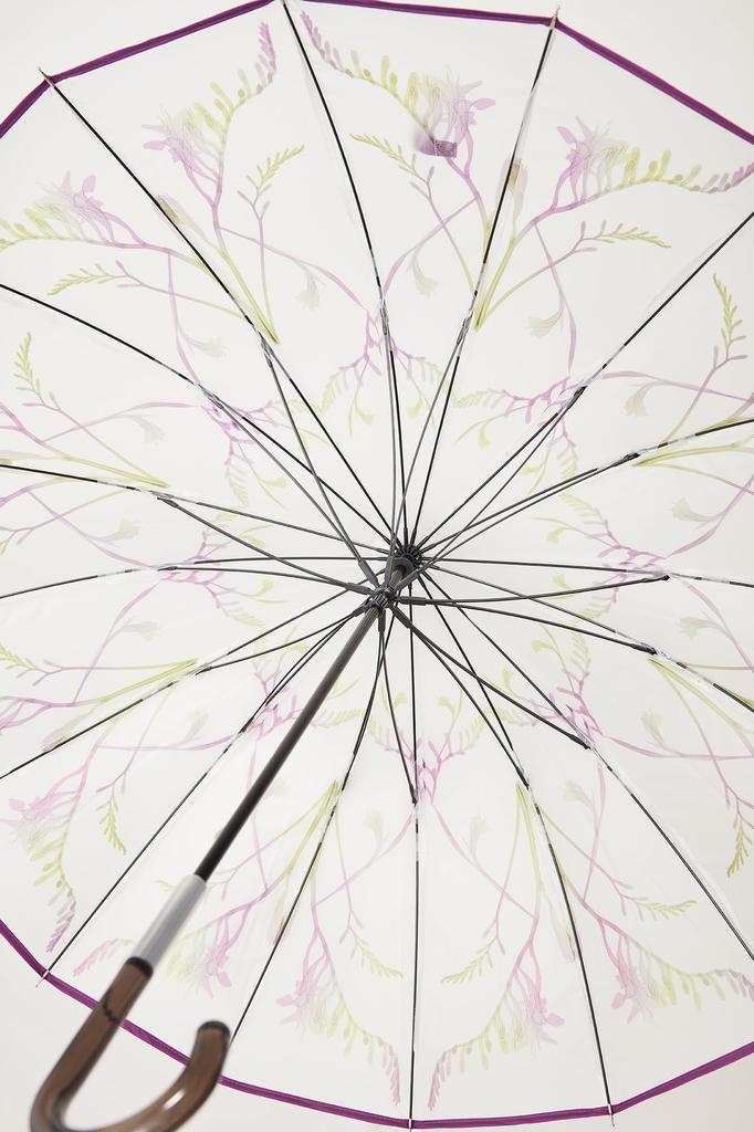 Waterfront Long LICENSE Series Crafted from Featuring a 16 and a Wind Resistance of Umbrella, "memorif. Petal" Asanohikari, 55cm, Nature, Petal-Shaped