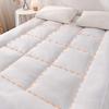 WTEMPO Farblich abgesetzte faltbare weiche Matratze Dicke Daunen-Baumwolle Weiche Hotelmatratze Wohnheim Hohe Qualität Beidseitig Vier Jahreszeiten Verfügbare Matratze
