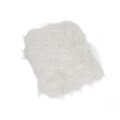 Fotoğraf Stüdyo Aksesuarları – Fotoğraf ekipmanları