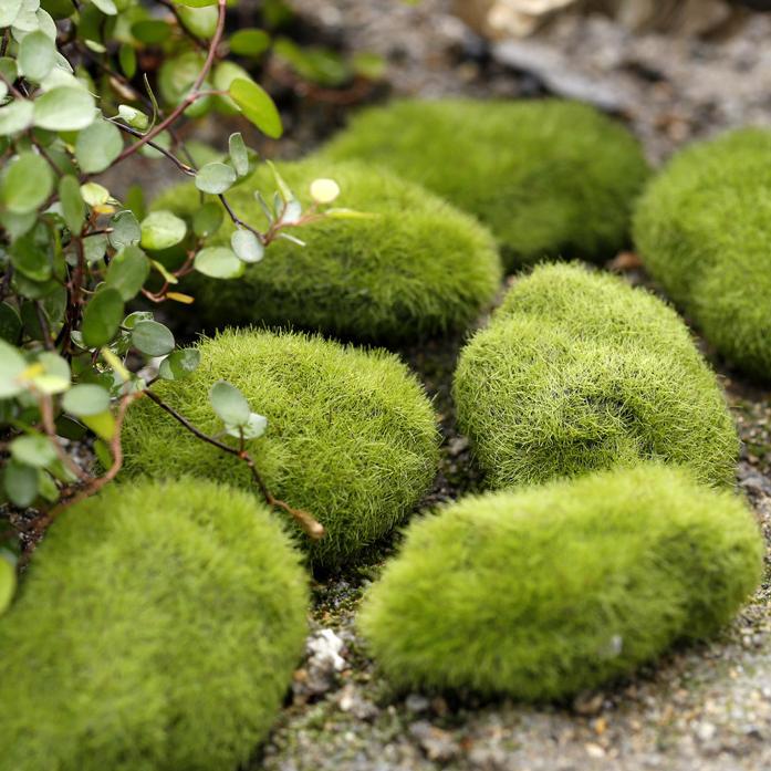 12Pcs Simulation Moss Stone Artificial Moss Rocks Ball Fake Green Plant for Home Garden Flower Pot Decoration Creative Crafts
