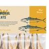 Pet Memorial Treat Paper Chicken Fish Slices Pet Bereavement Supplies Realistic Pet Treat Replica for Deceased Cats Dogs Memorial Ceremony