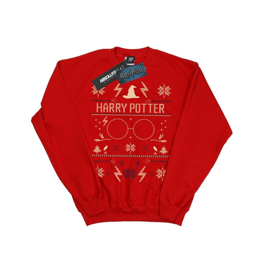 Harry Potter Boys Christmas Pattern Sweatshirt