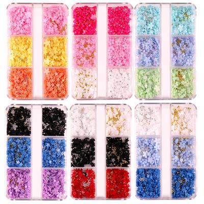 6 Grid Resin Manicure Five-Petal Three-Dimensional Flower Jewelry 4Mm Small Diy Material Decoration Accessories