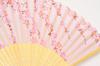 Silk Fan with Fan Boxed Cherry [Hasegawa] Women's Case, (Weeping Blossom)