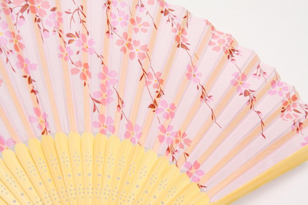 Silk Fan with Fan Boxed Cherry [Hasegawa] Women's Case, (Weeping Blossom)