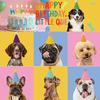 6 Pieces Mini Pet Party Hats Cone Non Woven Costume Accessories Colorful for Cat Stuffed