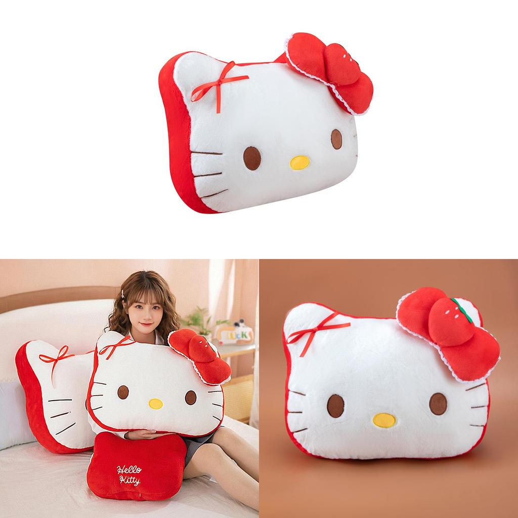 Plush Pillow With Pp Cotton Filling For Gift For Teens And Kids