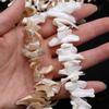 Irregular Freshwater Shell Beading Large Long String Bead  Necklaces Bracelet Accessories
