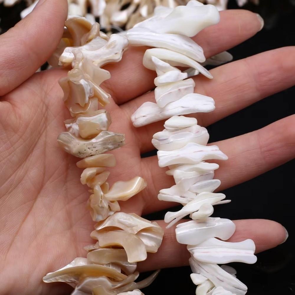 Irregular Freshwater Shell Beading Large Long String Bead  Necklaces Bracelet Accessories
