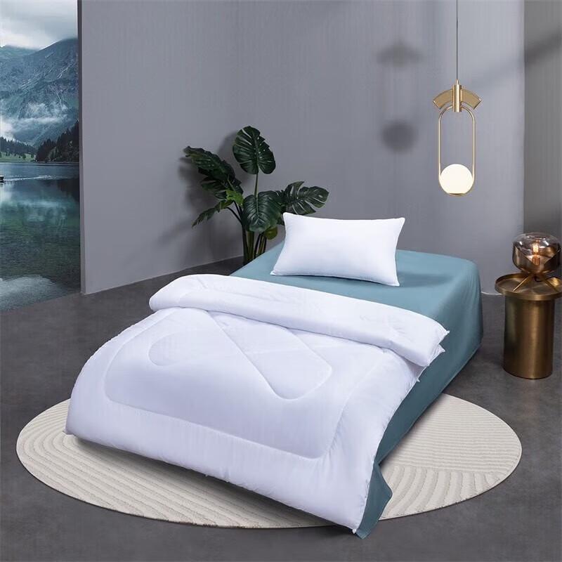 

Mercury Home Textiles Flowing Light Four Seasons Quilt