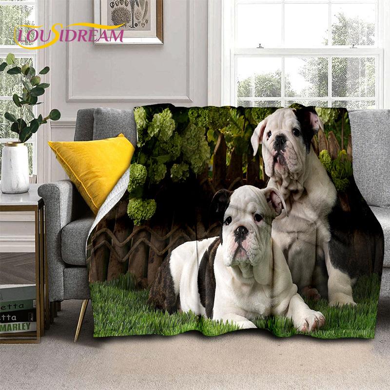 Cartoon French Pit Bull Dog Pet 3D Blanket,Soft Throw Blanket for Home Bedroom Bed Sofa Picnic Travel Office Cover Blanket Kids