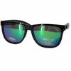 Polarized Sunglasses [Flon]