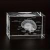 3D Lidský Anatomický Model Křišťálový Laserová Skulptura Mozku Krychle Těžítko Figurky Přemýšlení Lékařská Věda Dárek