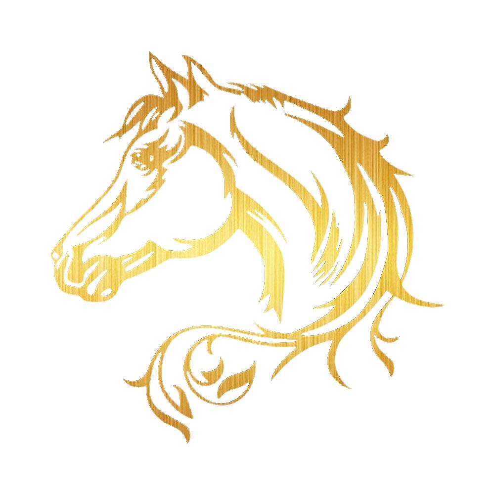 

DYS Auto Shop Body Window Світловідбиваючі наклейки Наклейка Декорація золотистий