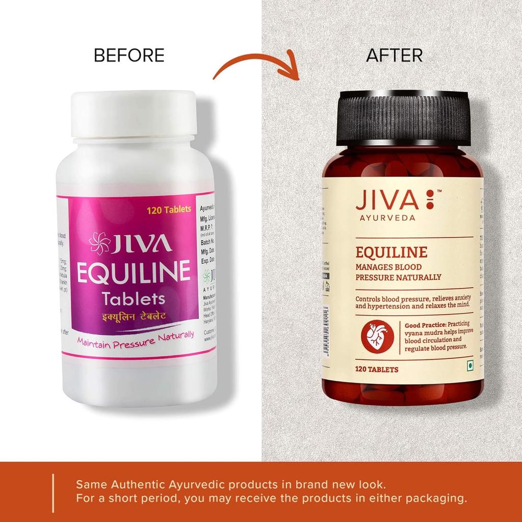 Jiva Equiline Tablets 500mg | Ayurvedic Herbal Supplement for Mind Clarity & Energy Support | 120 Tablets Pack of 4