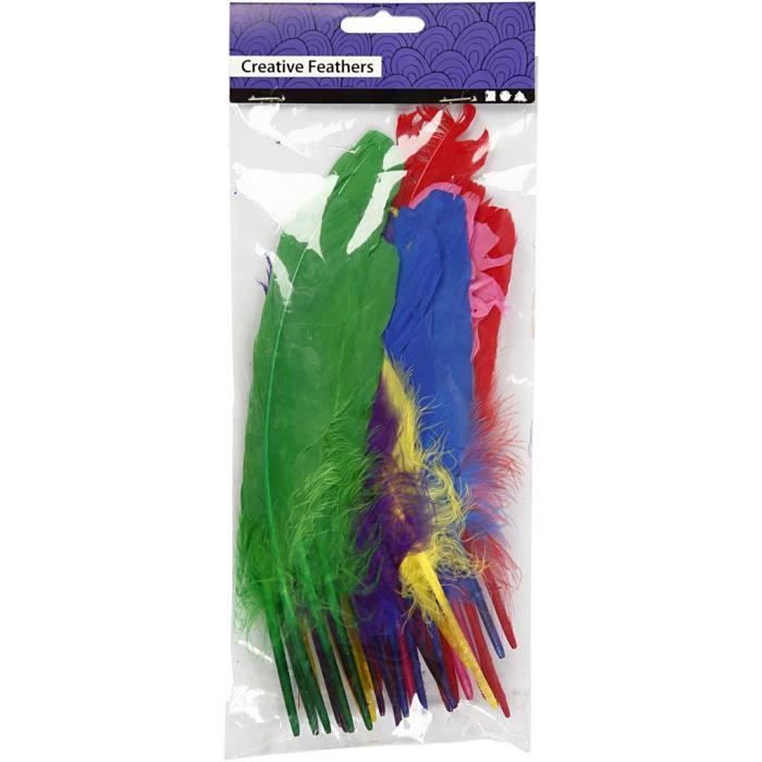 Plumes de qualité - Réf 51818 - Couleurs vives - Paquet de 6 couleurs différentes