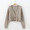 Kurze Stil High-taille Schlank Kunststoff Pullover Frauen 2021 Frühjahr Neue einreiher Strickjacke Twist Kleine Jacke