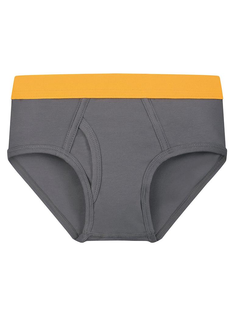 Boys' Combed Cotton Solid Color Elastic Briefs