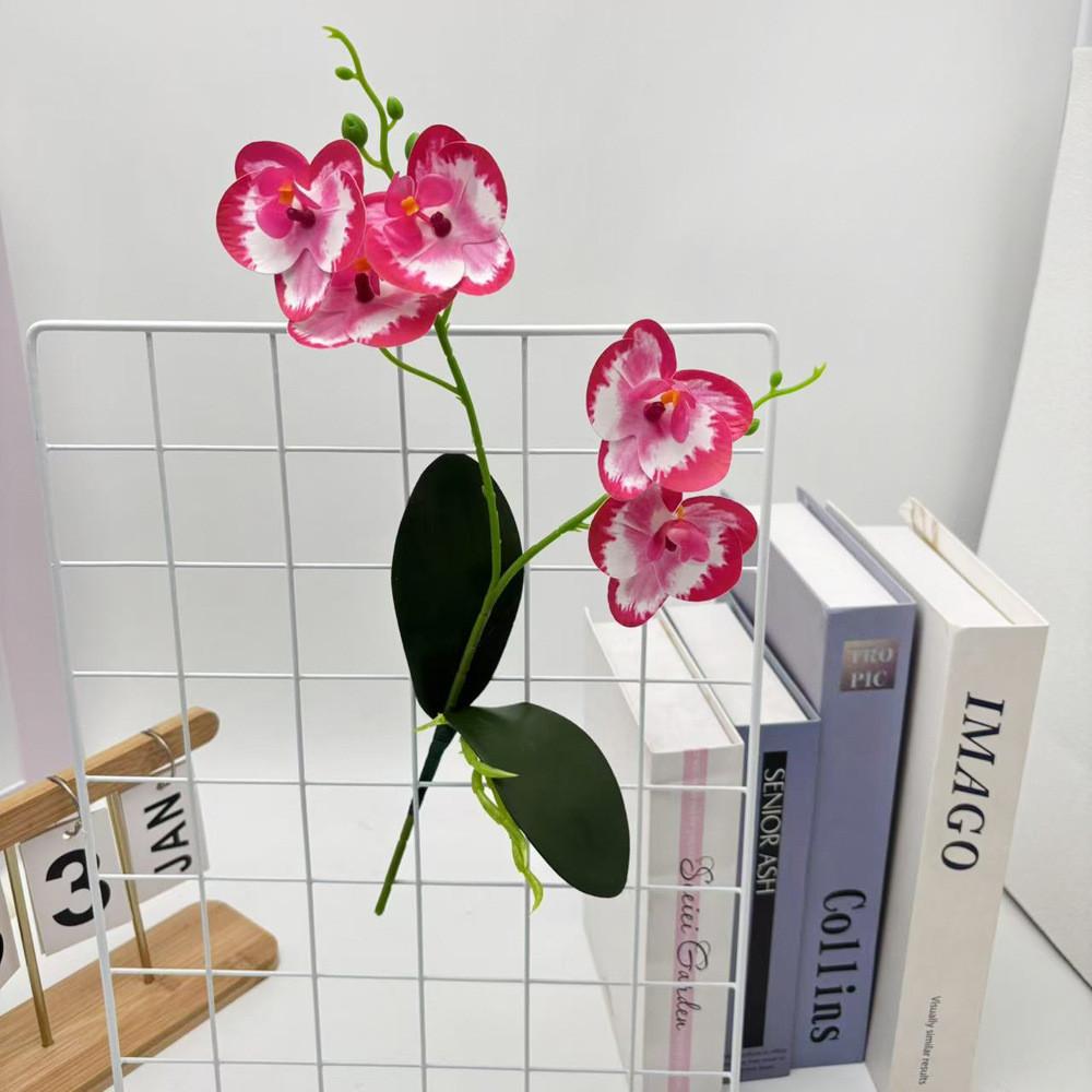 Phalaenopsis Flower Artificial Wedding Photography Props Party Gift Decorations