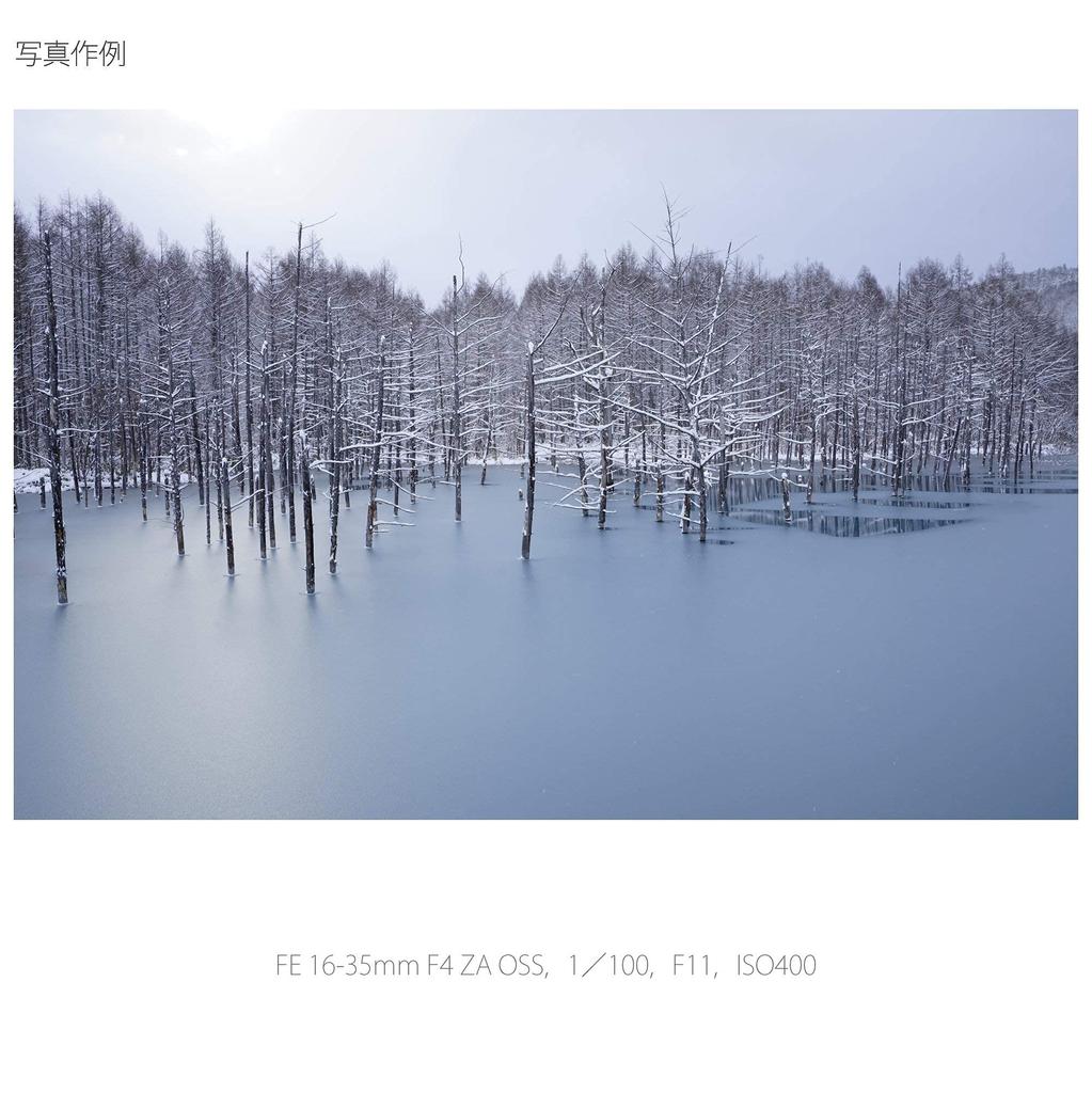 Sony Weitwinkel-Zoomobjektiv, volle Größe, FE F4 ZA OSS, Zeiss-Objektiv für digitale Einzelobjektivkamera, Originalobjektiv SEL1635Z Vario-Tessar T 16–35 mm [E-Mount]