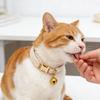 קולר חתול מתכוונן קולר חיות מחמד רך עם פעמון נשלף קולר חיות מחמד בצבע אחיד לכלבים קטנים חתולים גורים טיולים בחוץ בטיחות