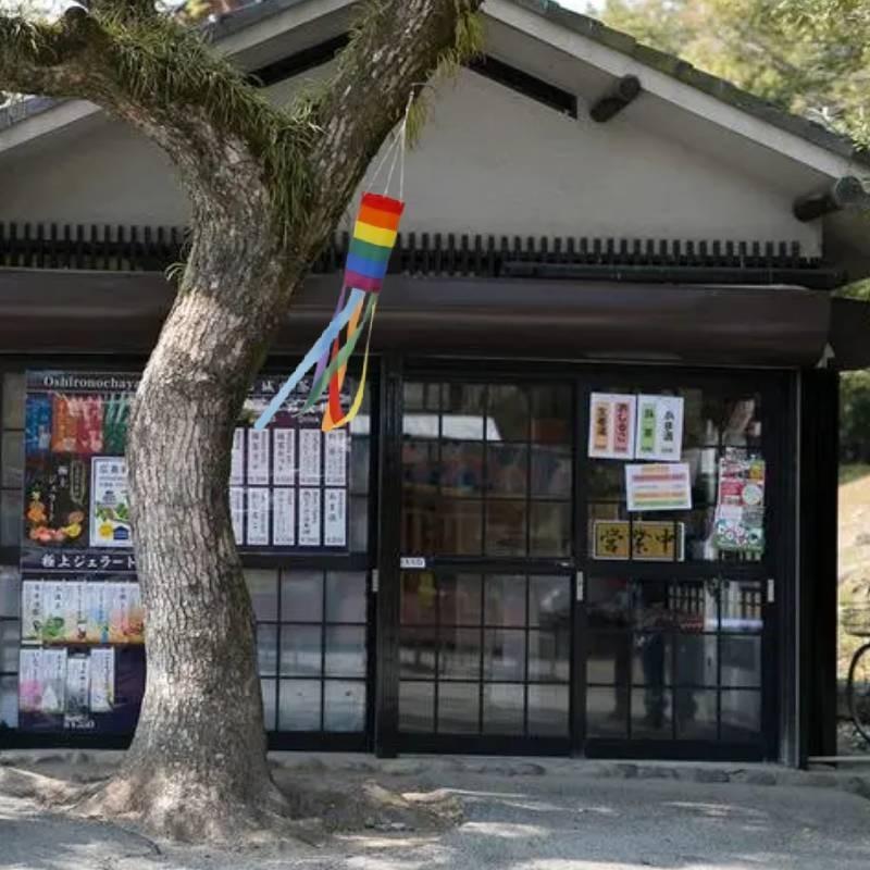 Vibrant Rainbow Wind Direction Flag Durable Polyester Yard Decor Banner