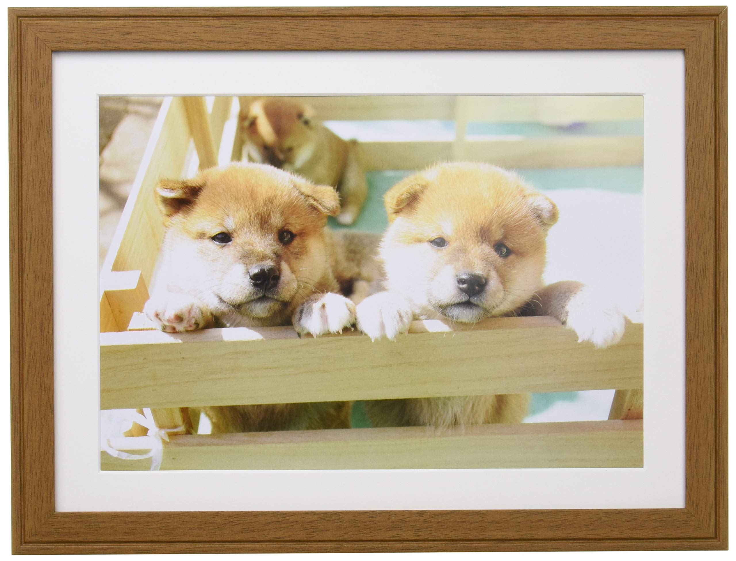 

FUJICOLOR Wooden Frame A4 Brown 407734 YM-9