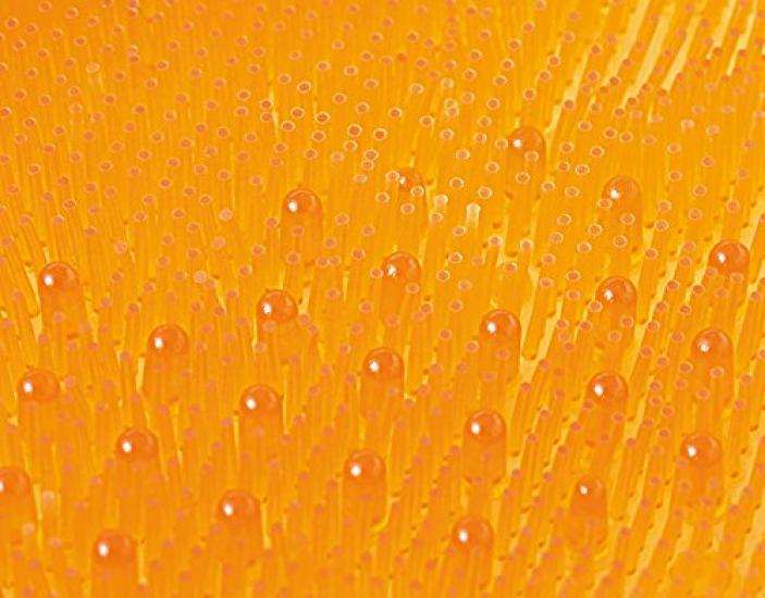 Tone Foot Brush Orange 28 x 24 cm Foot Washing Mat Foot Washing Brush Massage Bath Mat Foot Brush Bath Bath Goods Sole Care Callus Foot Brush TR-15