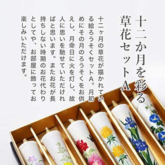 Daiyo Illustrated Candles, Floral Set A for the Twelve Months