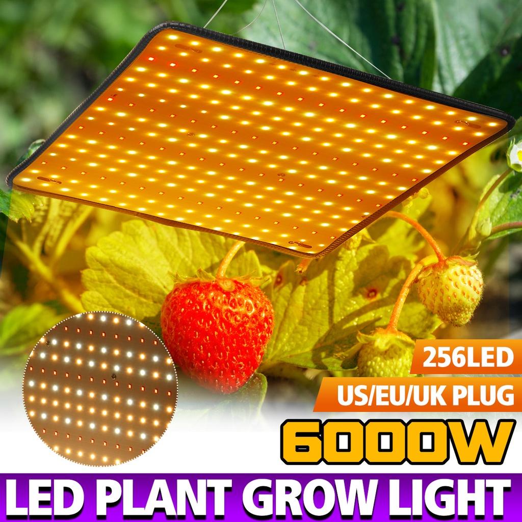 LED Wachstumslampe für Pflanzen 256 LED Grow Light Vollspektrum Phyto Lampe AC 85-265V Fitolampy Zimmerkräuter Licht für Gewächshaus Anbau 6000W