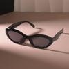 Stylish Cat Eye Sunglasses Women Men Vintage Brand Mirror Lens Sun Glasses Female Male Fashion Colors