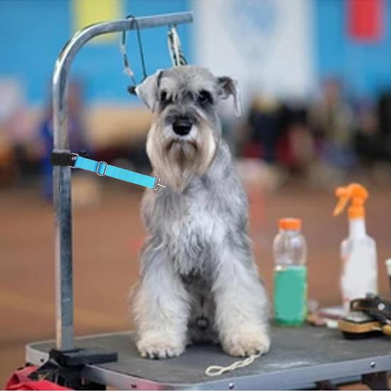 Pet Grooming Arm Extension Strap Adjustable Quick Release Dog Grooming Leash Grooming