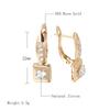 Luxury Natural Zircon Square Dangle Earrings For Women Simple  Rose Gold Color Bride Wedding Fine Jewelry