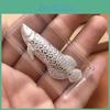 Tea 3pcs Tool Silver Brewing Tea Ceremony Accessories Tea Pets Goldfish Shaped Softened Water Quality