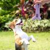 Teeth Cleaning Toys for Small Dogs Dog Treat Stick Holder Prevents Choking Rubber Chew Toy Pet Holder Branch Shape Toy And Medium Shape