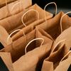 Haistick HK-5041 Kraft Paper Handle Bags