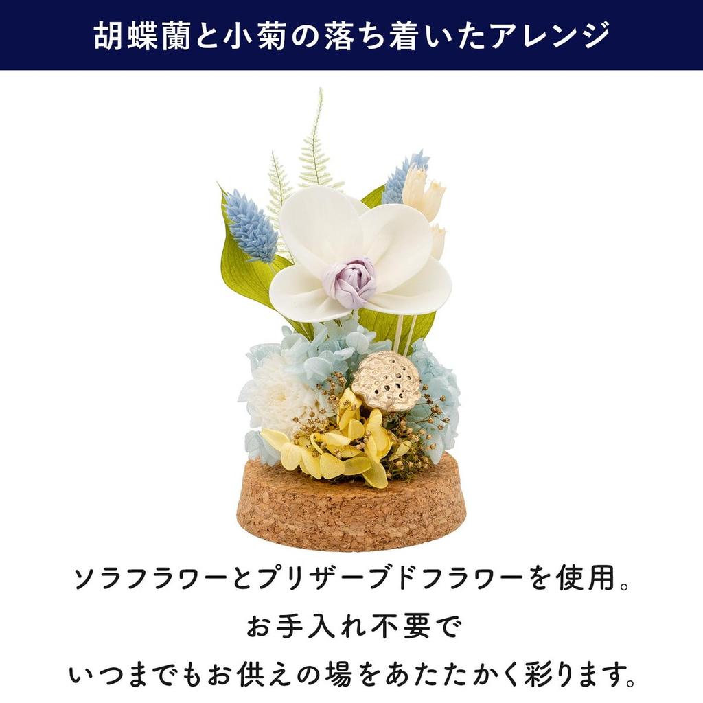 Mirai Agris PD Collection Preserved Flowers in Glass Dome Blue L Size, Japanese Buddhist Altar Floral Memorial Tribute Orchid and Mum