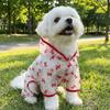 Thin Breathable Dog Sunscreen Clothes Butterfly Pattern Dog Cooling Jumpsuit  Summer Season