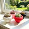 3D Printed Creative Desktop Succulent & Strawberry Flower Pot Decor Gift