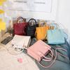 Korean Crocodile Pattern Mini Ladies Handbag - Summer/Autumn Shoulder & Crossbody Bag