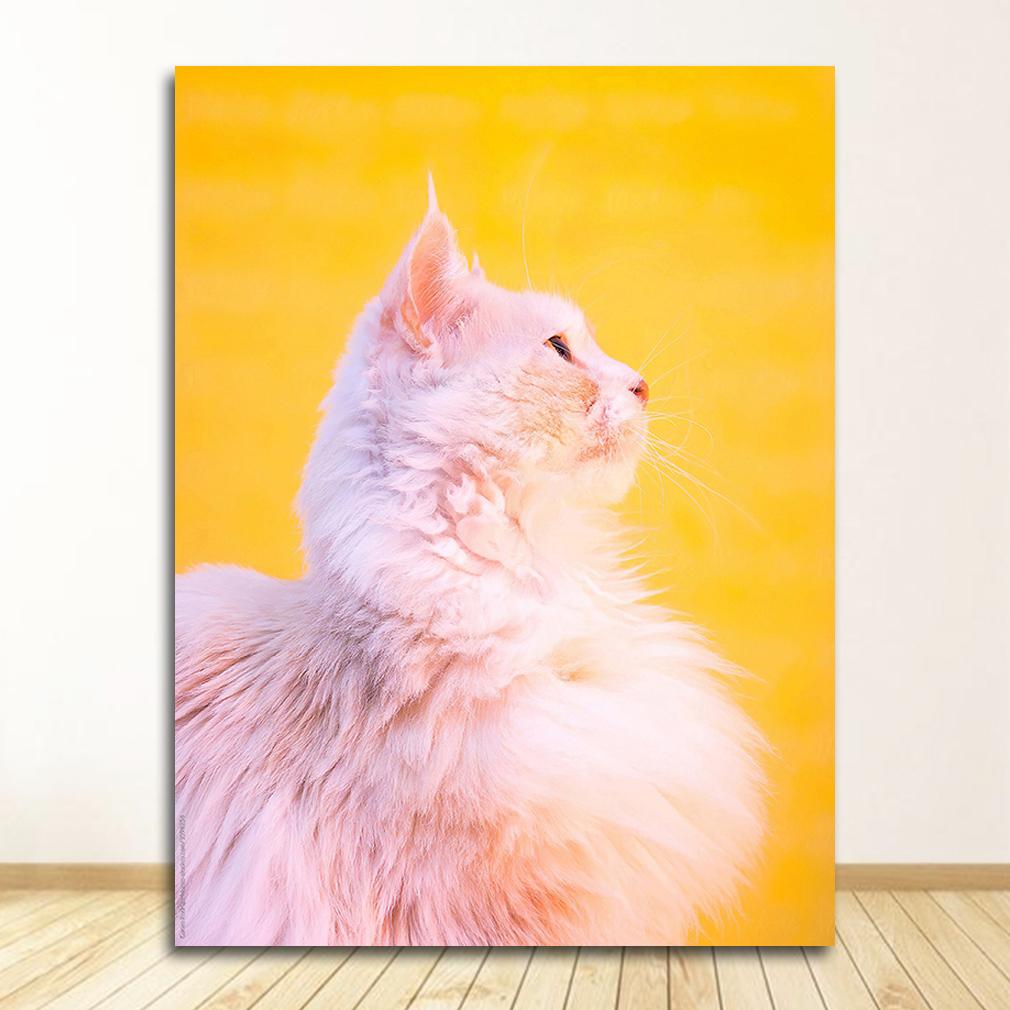 Colorful Pictures For Living Room Home Decor Tropical Plants Nordic S Palm Leaf Flower Orange Cat Wall Art Canvas Painting