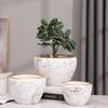 Nordic Style Extra-Large Ceramic Flower Pot for Indoor and Outdoor Use - Ideal for Money Tree & Pothos Creative Bonsai